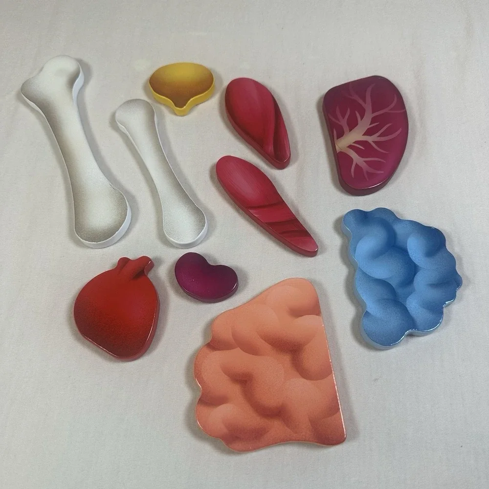 Hape Human Body Puzzle 60 Oversized Pieces Educational Anatomy Wooden Organs EUC